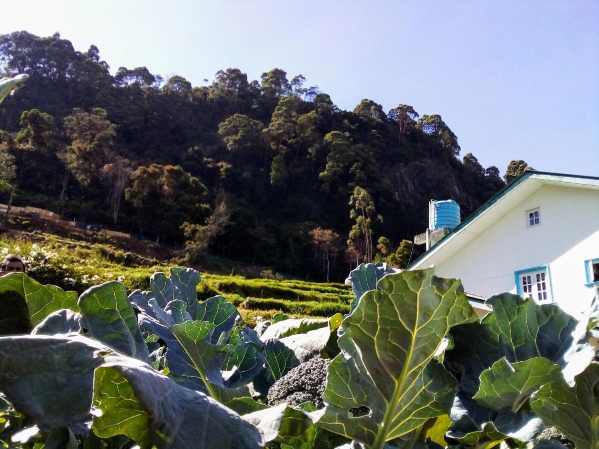 Vibe Way Hotel Nuwara Eliya Exterior foto